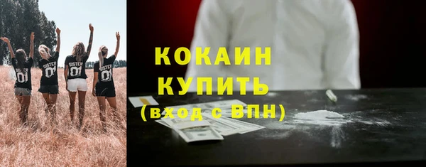 СК Горняк