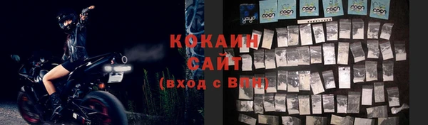 соль ск Горнозаводск