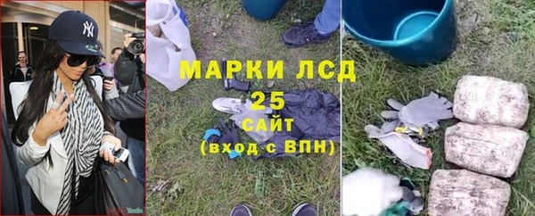 соль ск Горнозаводск